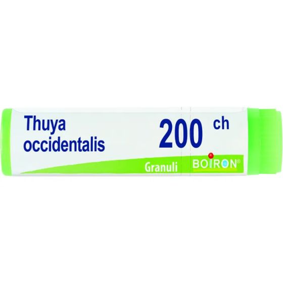 Thuya occident 200ch gl