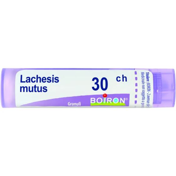 Lachesis mutus 30ch gr
