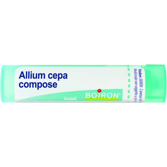 Allium cepa comp gr
