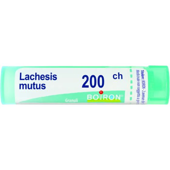 Lachesis mutus 200ch gr