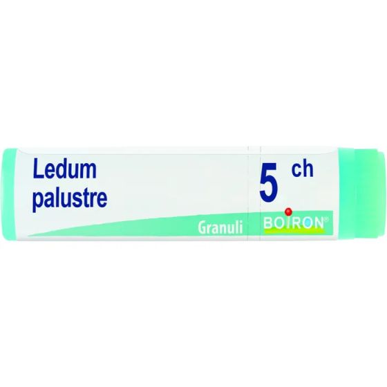 Ledum palustre 5ch gl