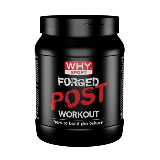 Why sport forged post workout 600g