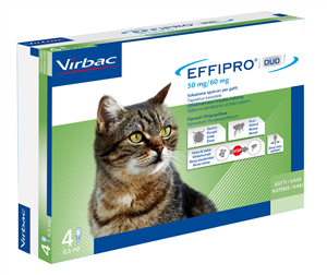 Effipro duo*spoton 4pip gatti