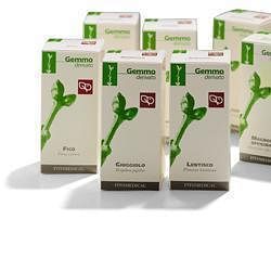 Cornus sanguinea 50ml mg