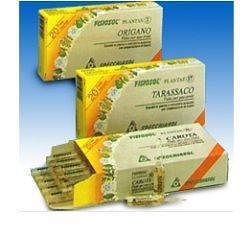 Fisiosol plantae 15 rame 20flc