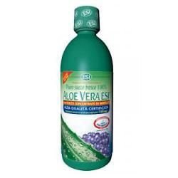 Aloe Vera Succo Mirtillo 1000m