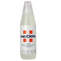 Amuchina soluzione disinfettante 1l