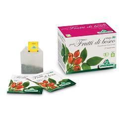 Infuso bio fruttabosco 20filt