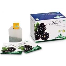 Infuso mora 20bust