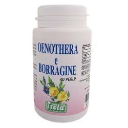 Oenothera borragine 40prl