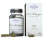 Hifas da terra mico-polypor 30 capsule