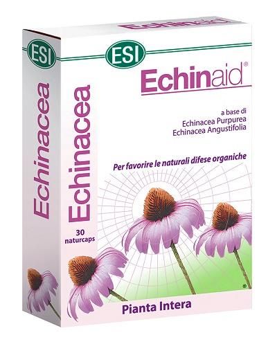 Echinaid 30cps