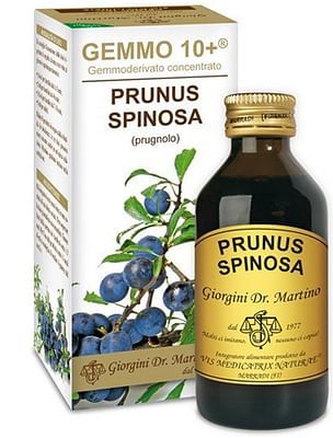 Prunus spinosa gemme 50ml
