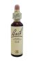 Bach center ess elm 20ml