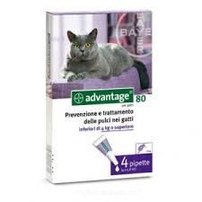 Advantage 80 4 tubi per gatti 0,8ml