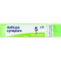 Aethusa cynapium boiron 5ch 4g