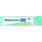 Streptococ. 30ch 4g boi