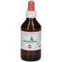 Ficus carica gemme 60ml mg