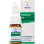 Chelidonium riz rh d4 10ml col