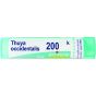 Thuya occid. 200k 1g boi