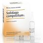 Solidago comp. 10f hee