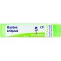 Rumex crispus 30ch 4g boi