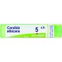 Candida alb. 5ch 4g boi