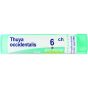 Thuya occident 30ml tm