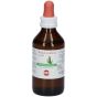 Ficus carica 50ml mg