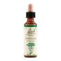 Centaury bach orig 10ml prep