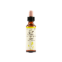 Chestnut bach orig 10ml prep