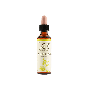 Wild rose bach orig 10ml prep