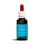 Crowea gtt 15ml grr