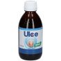 Vigor ulce bevanda 240ml stv