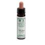 Ainsworths scleranthus 10ml