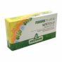 Fisiosol plantae 13 magnesio 20flc