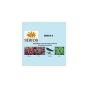 Sibios 04 echinacea gtt 50ml