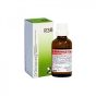 Reckeweg r38gtt 22ml
