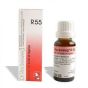 Reckeweg r55gtt 22ml