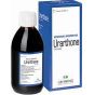 Lehning urarthone sciroppo 250ml