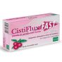 Cistiflux fast 14compresse masticabili 10.8g