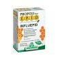 Influepid bustine orosolubili 10 bustine