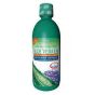 Aloe Vera Succo Mirtillo 1000m