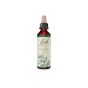 Schwabe fiori di bach 15 holly gocce 20ml