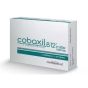 Cobaxil b12 1000mg 5 compresse