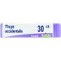 Thuya occident 30ch gl