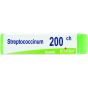 Streptococcinum 200ch gl