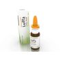 Heel luffa compositum spray nasale 20ml