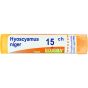 Hyoscyamus niger 15ch gr