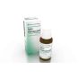 Apis homac 30ml gtt heel